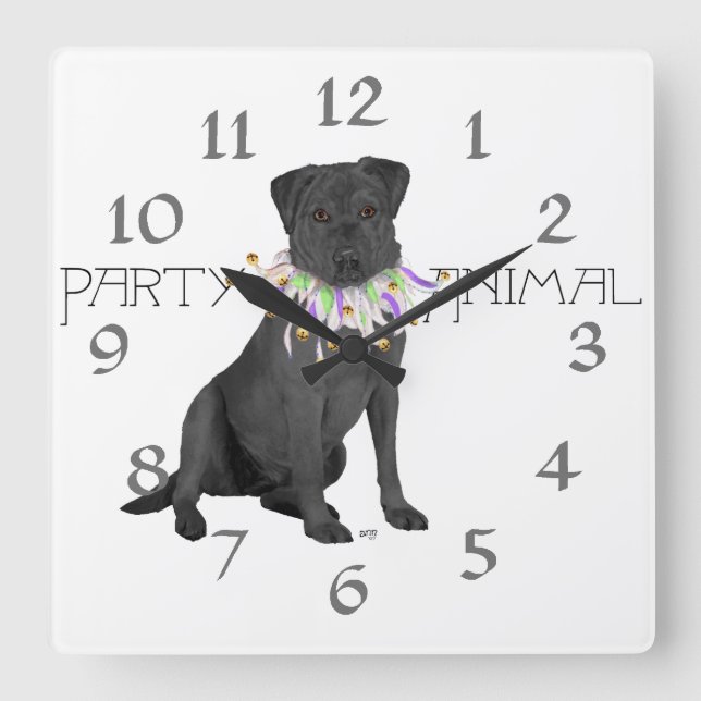 Black Labrador Retriever Party Square Wall Clock (Front)