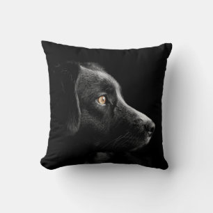 black labrador retriever pillow