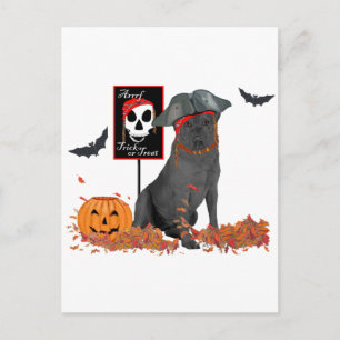 Black Labrador Retriever Pirate Postcard