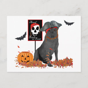 Black Labrador Retriever Pirate Postcard