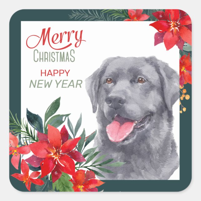 Black Labrador Retriever Poinsettia Bouquet Square Sticker (Front)