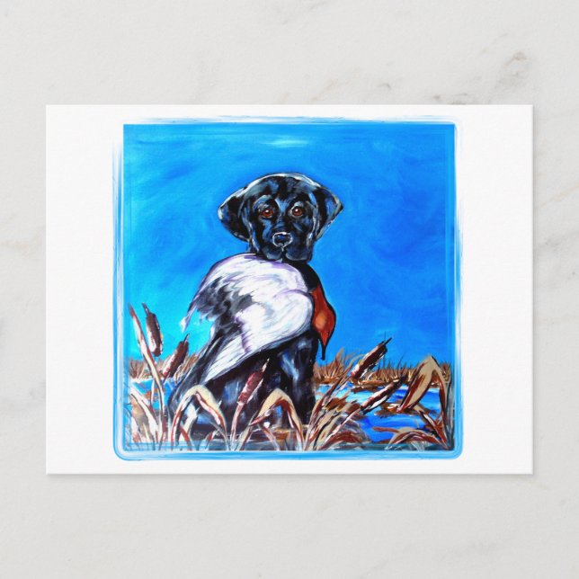 BLACK LABRADOR RETRIEVER POSTCARD (Front)
