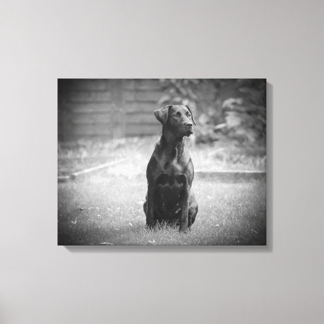Black Labrador Retriever Puppy Canvas Print (Front)