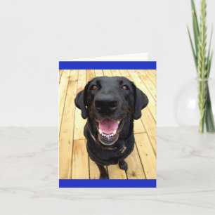 Black Labrador Retriever Puppy  Dog Blank Notecard