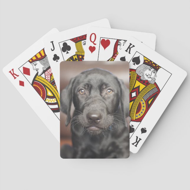 Black Labrador Retriever Puppy Dog Photo Playing Cards (Back)