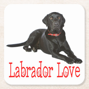 Black Labrador Retriever Puppy Dog Red Love Square Paper Coaster