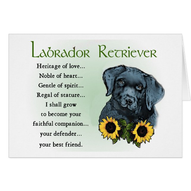 Black Labrador Retriever Puppy Gifts (Front Horizontal)