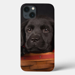 Black labrador retriever puppy in a basket iPhone 13 case