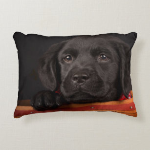 Labrador Retriever Decorative & Throw Sleeping Labrador Puppy Throw Pillow