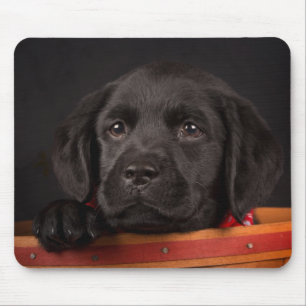 Black labrador retriever puppy in a basket mouse mat