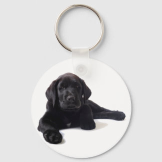 Black Labrador Retriever Puppy Key Ring