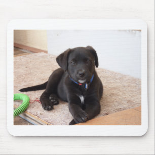 Black Labrador Retriever Puppy Mouse Mat