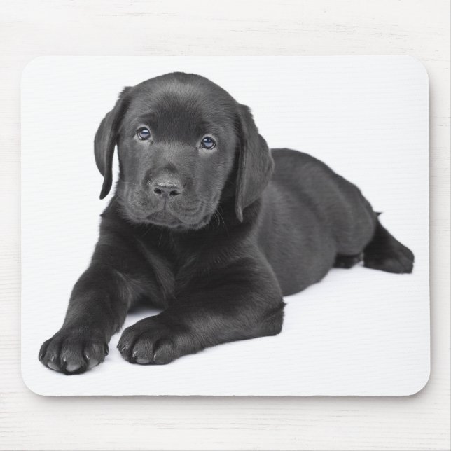Black Labrador Retriever Puppy Mousepad (Front)