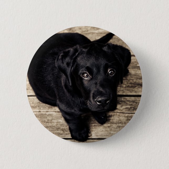 Black Labrador Retriever Puppy on Wood 6 Cm Round Badge (Front)