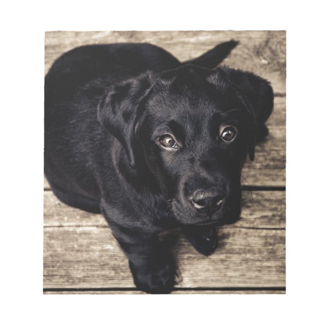 Black Labrador Retriever Puppy on Wood Notepad (Front)