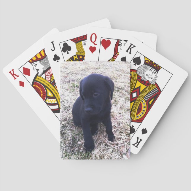 Black Labrador Retriever Puppy Playing Cards (Back)