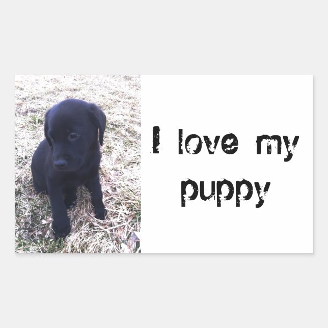 Black Labrador Retriever Puppy Rectangular Sticker (Front)