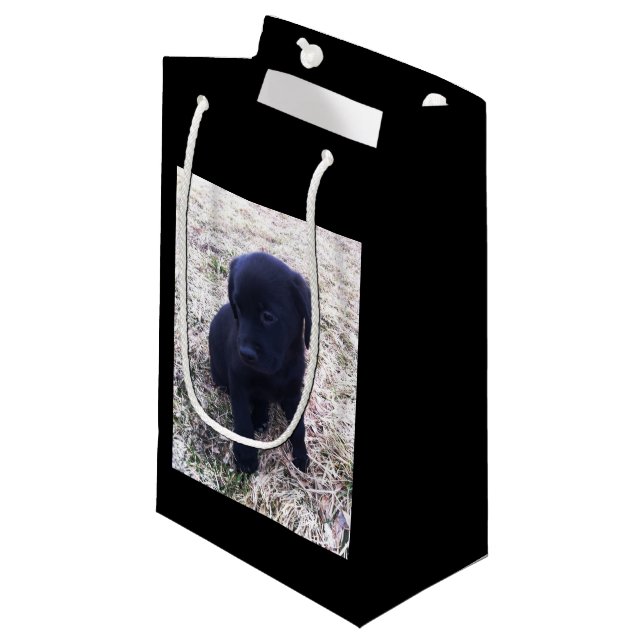 Black Labrador Retriever Puppy Small Gift Bag (Front Angled)