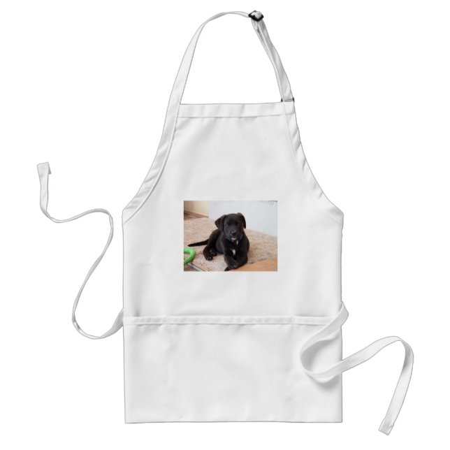 Black Labrador Retriever Puppy Standard Apron (Front)