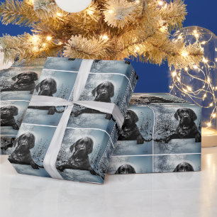 Black Labrador Retriever  puppy  T-Shirt Throw Pil Wrapping Paper