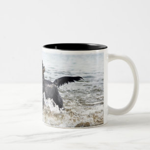 Black Labrador retriever running through surf, Two-Tone Coffee Mug