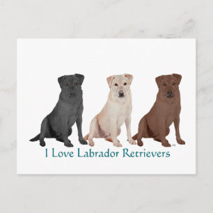 Black Labrador Retriever Sailor Post - Customised Postcard
