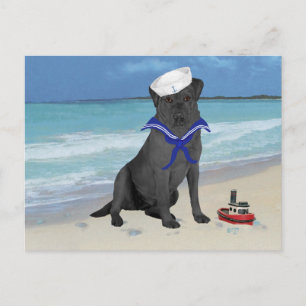 Black Labrador Retriever Sailor Postcard