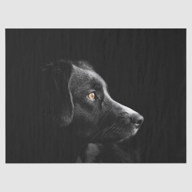 black labrador retriever tissue paper (Front)