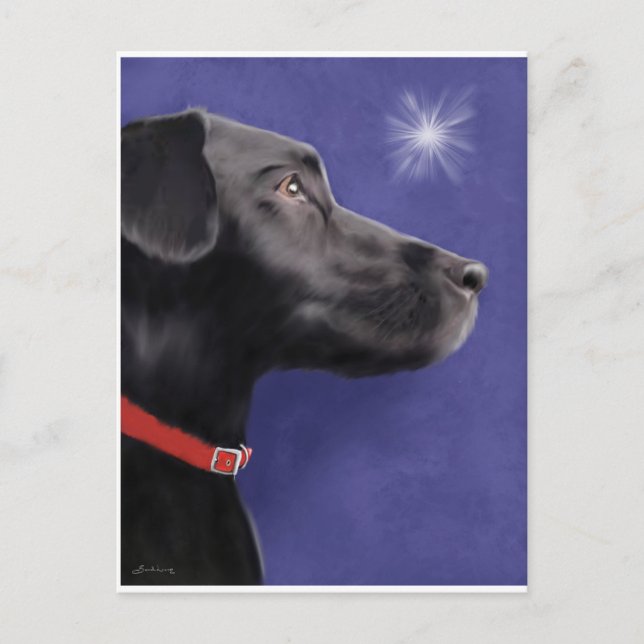Black Labrador Retriever - Wish Upon A Star Holiday Postcard (Front)