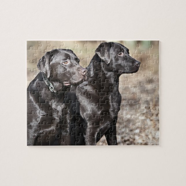 Black Labrador Retrievers Jigsaw Puzzle (Horizontal)