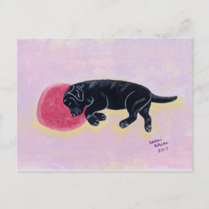 Black Labrador Sleeping Painting Postcard