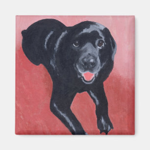 Black Labrador Smiling Magnet