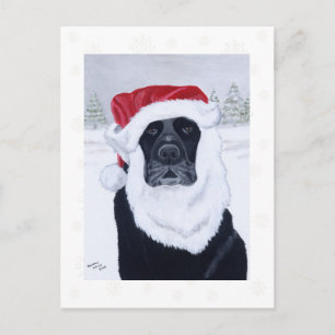Black Labrador Snowflakes Christmas Postcards