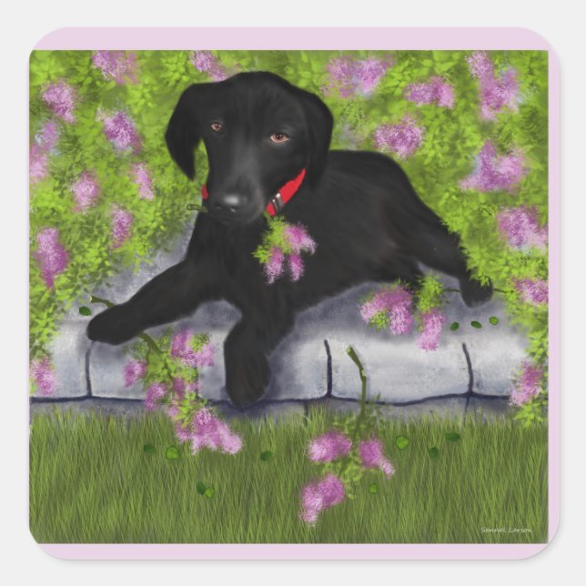 Black Labrador, Square Sticker (Front)