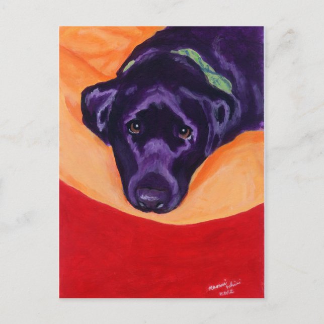 Black Labrador Staring Painting Postcard (Front)