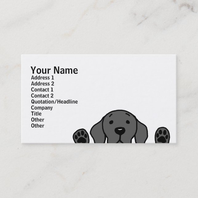 Black Labrador watching you Business Card (Front)