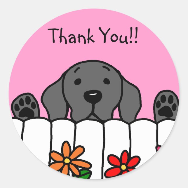 Black Labrador watching you Classic Round Sticker (Front)