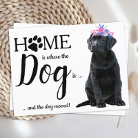 Black Labrador We've Moved Dog Moving