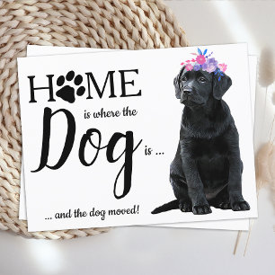 Black Labrador We've Moved Dog Moving Announcement Postcard