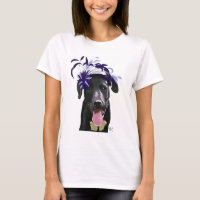 Black Labrador With Blue Fascinator