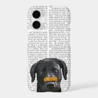 Black Labrador With Bone on Nose