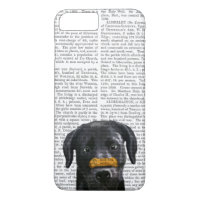 Black Labrador With Bone on Nose
