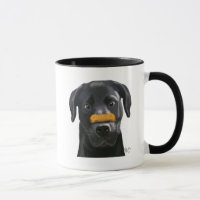 Black Labrador With Bone on Nose