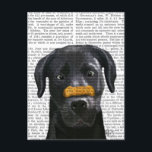 Black Labrador With Bone on Nose Postcard<br><div class="desc">Pets</div>