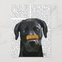 Black Labrador With Bone on Nose