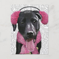 Black Labrador With Ear Muffs
