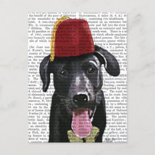 Black Labrador With Fez Postcard