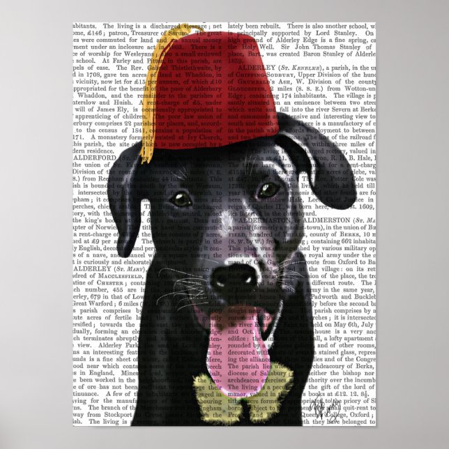 Black Labrador With Fez Poster (Front)