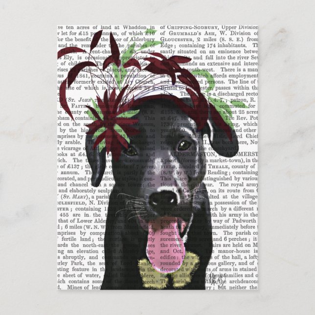 Black Labrador With Green Fascinator Postcard (Front)