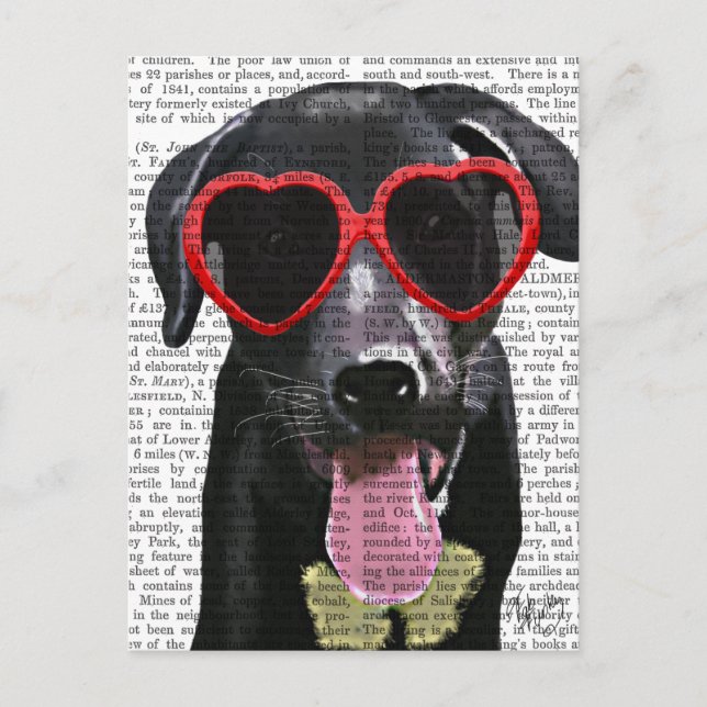 Black Labrador With Heart Sunglasses Postcard (Front)